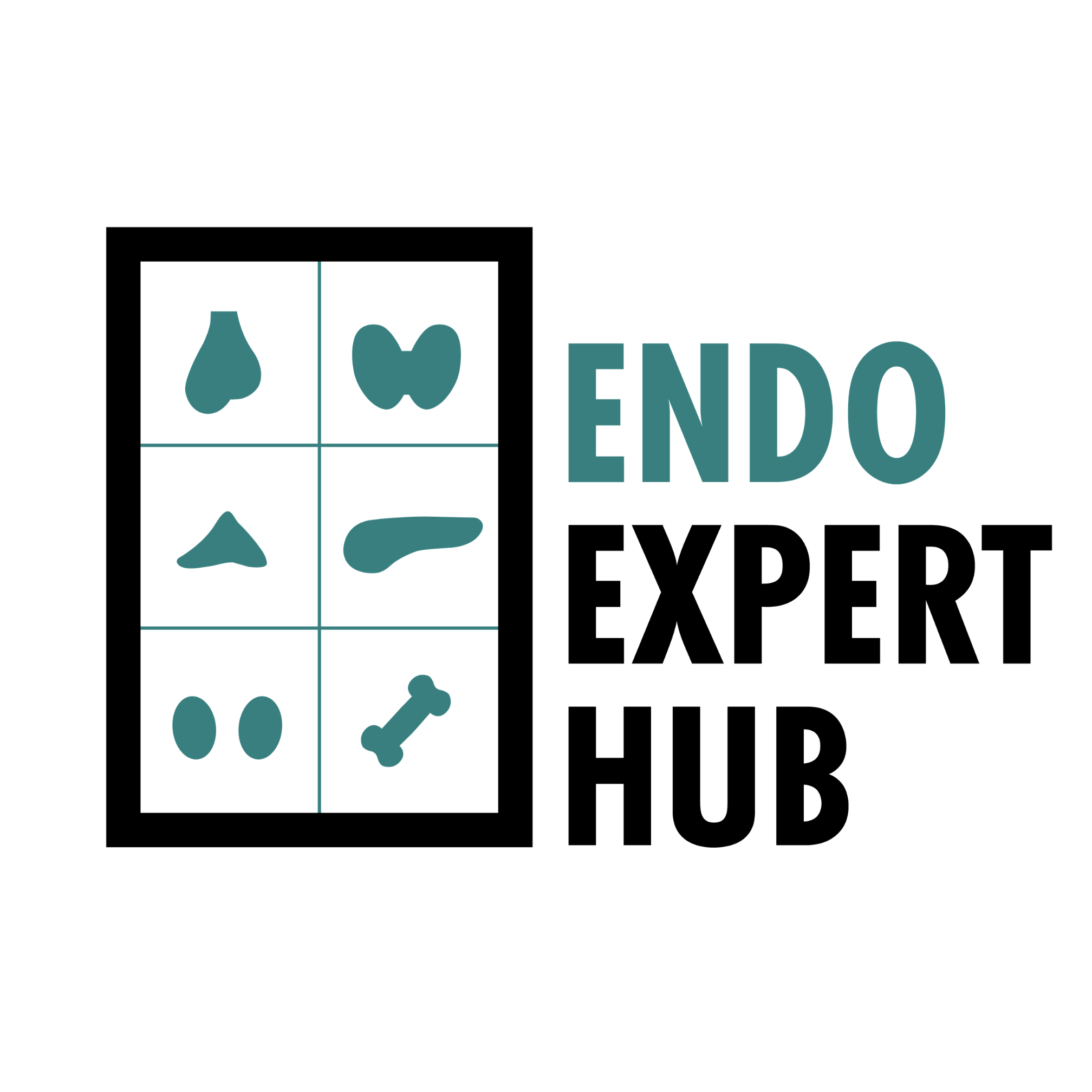 EndoExpertHub Logo